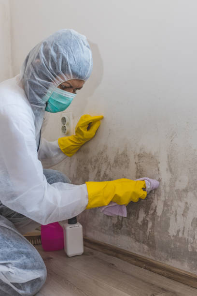 Asbestos and Lead Testing During Mold Inspection in Duboistown, PA
